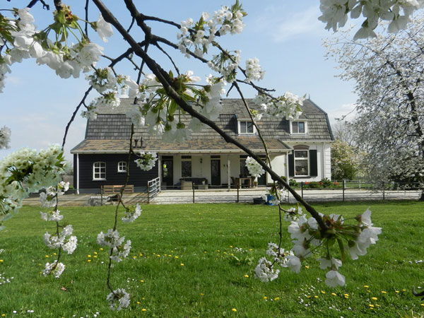 hotel boxsprings kopen