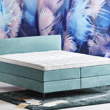 los hoofdbord Cinderella Pure