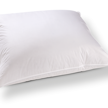 Kussen Floryn Lairesse eendendons punt