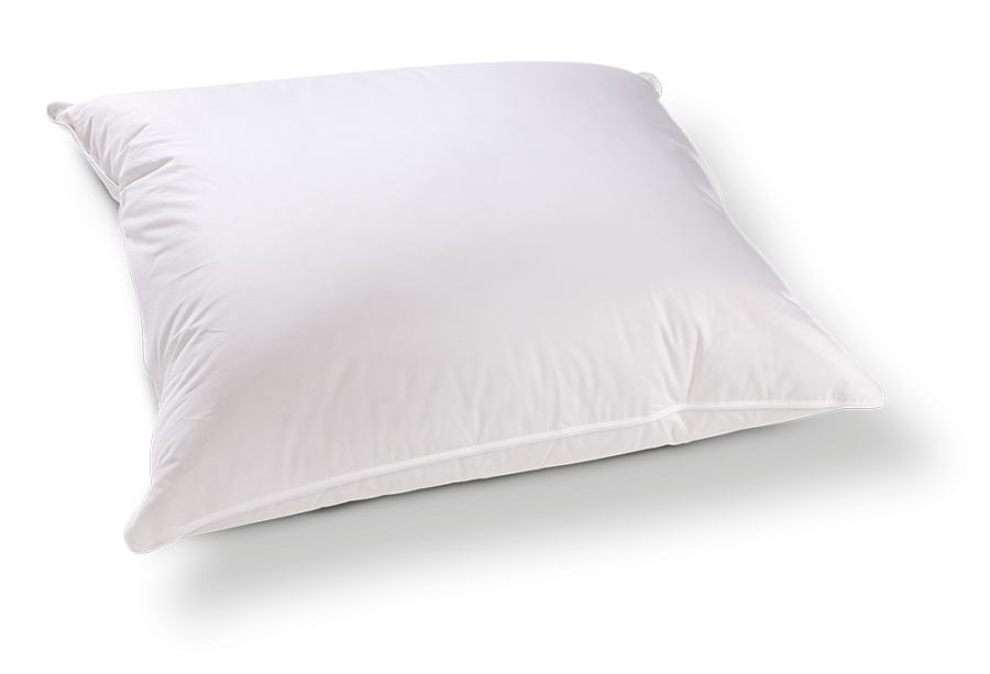 Kussen Floryn Lairesse eendendons punt