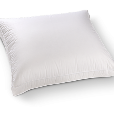 Kussen Floryn Lairesse eendendons box