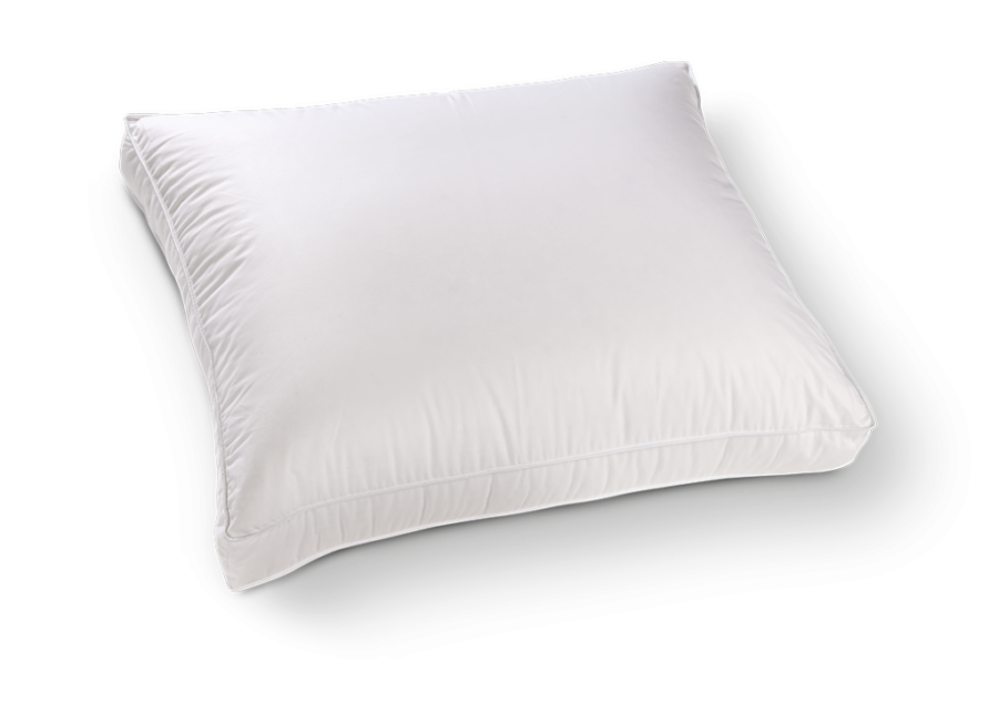 Kussen Floryn Lairesse eendendons box